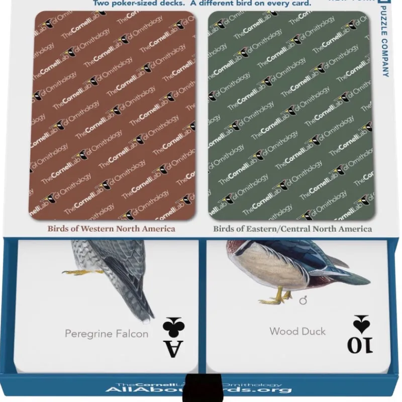 New York Puzzle Cornell Lab Of Ornithology | Cornell Birds Double Deck Playing Cards 2 Standard Decks