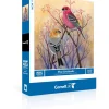 New York Puzzle Birds & Wildlife | Pine Grosbeaks 500 Piece Jigsaw Puzzle