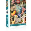 New York Puzzle Nautical, Coastal & Ocean Life | Sea Anemones 1000 Piece Jigsaw Puzzle